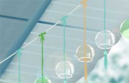 展示型网站建设解决方案